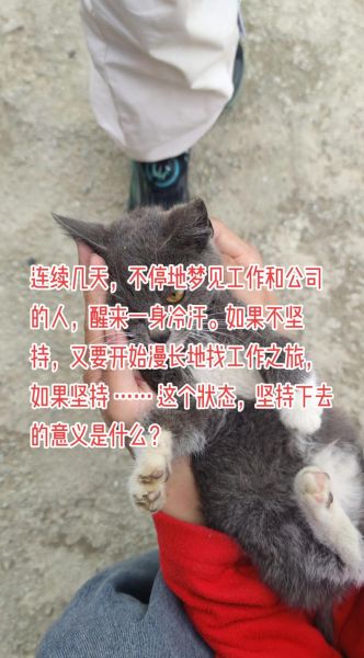 梦到回到旧公司_梦见做以前的工作