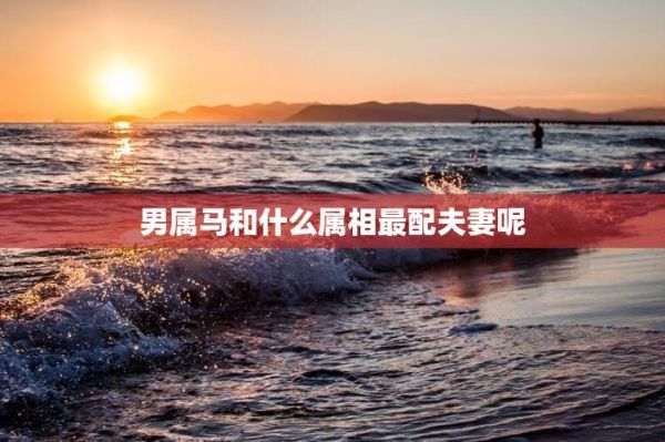 男属马和什么属相最配_男属马最佳婚配属相