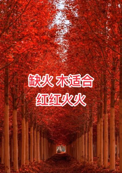 缺火财运怎么办_如何补火招财