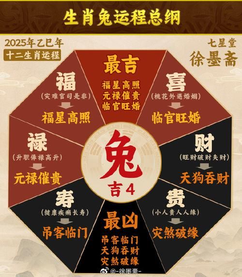 属兔人年底财运如何_属兔人年底财运提升方法