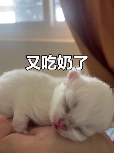 梦见给小孩吃奶_是什么意思