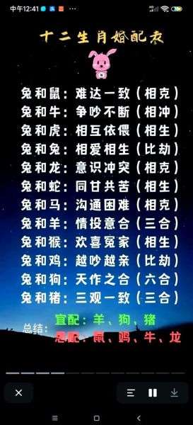 男猪女狗财运好不好_属猪男和属狗女合财吗