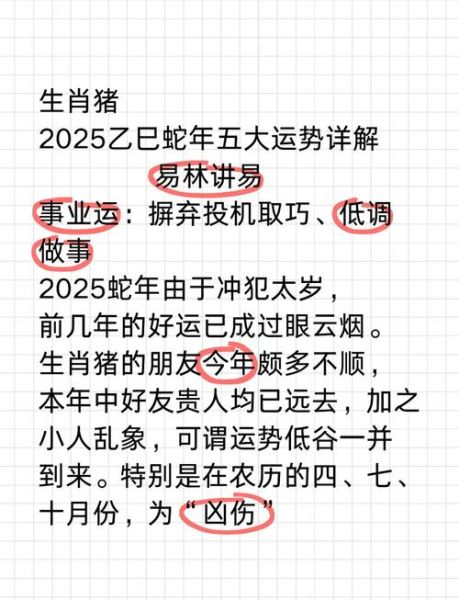 属猪的今天运势怎么样_属猪今日财运如何