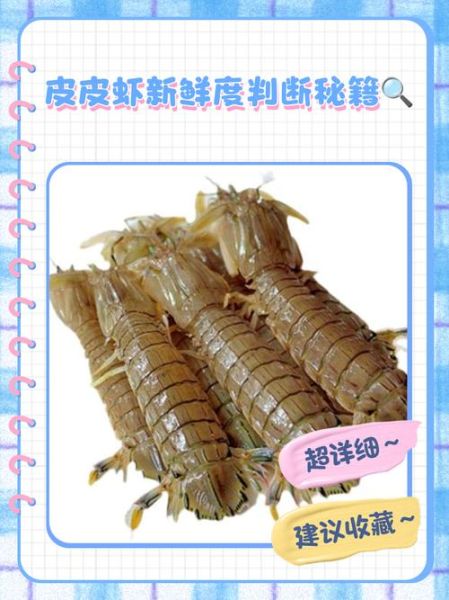 梦到皮皮虾是什么意思_梦见皮皮虾预示什么