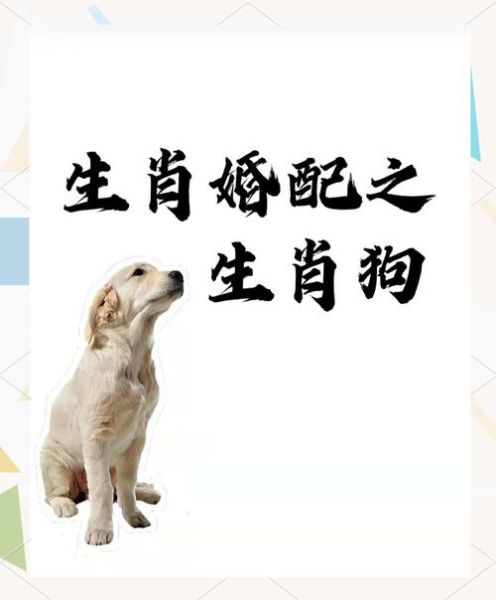狗属相和什么属相合_狗属相最佳婚配属相
