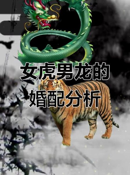 属龙和属虎的合不合_属龙和属虎婚姻配对如何