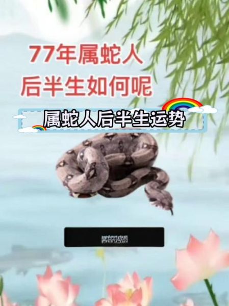 77年蛇今年运势如何_77年属蛇2024年财运怎么样