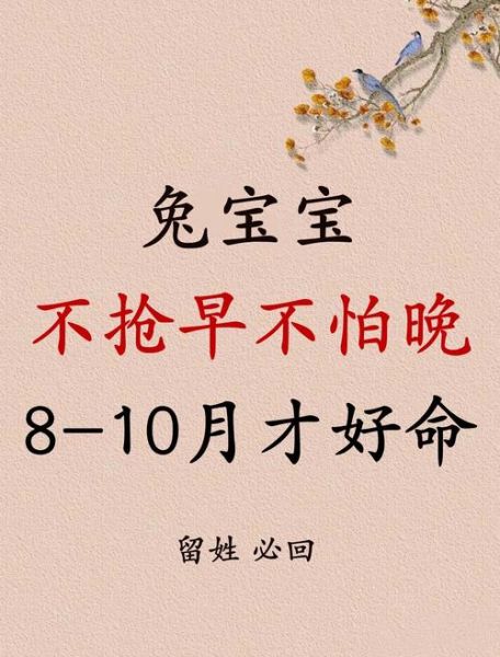 2017年属兔运势如何_属兔人2017年每月运程
