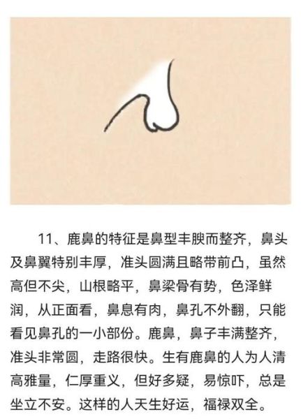 鼻子看财运准吗_如何通过鼻子提升财富运