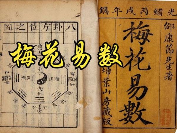 梅花易数测财运_梅花卦象怎么看财运