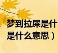 梦见自己拉屎是什么意思_拉屎梦境解析