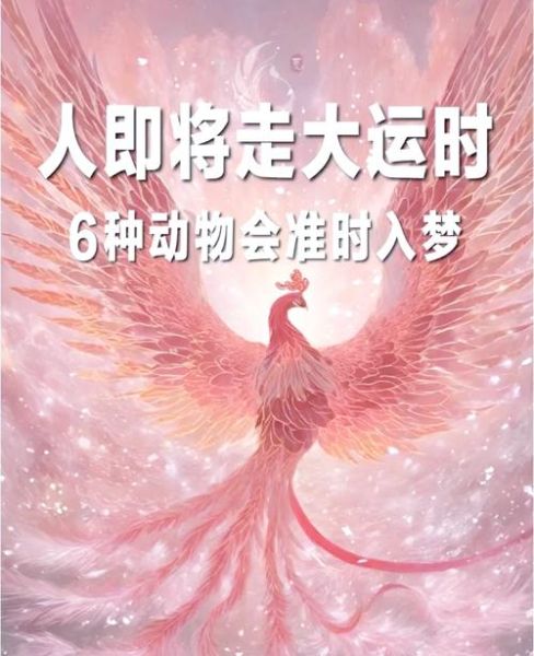 梦到野生动物_有什么预兆