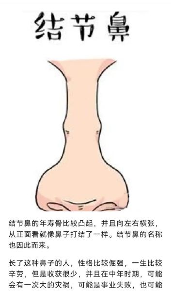 鼻子高财运就好吗_面相学真相
