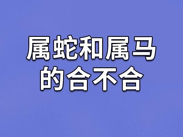 属蛇和属马适合做夫妻吗_蛇马婚姻如何化解相冲
