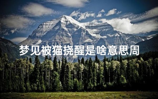 梦到有人要抓我_梦见被追是什么意思