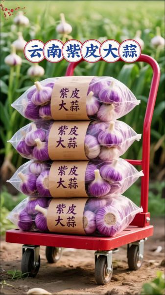 梦到挖蒜头是什么意思_梦见挖大蒜预示什么