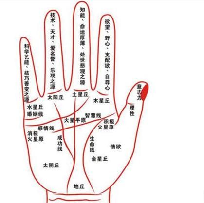 财运线怎么看_财运线千万级别特征