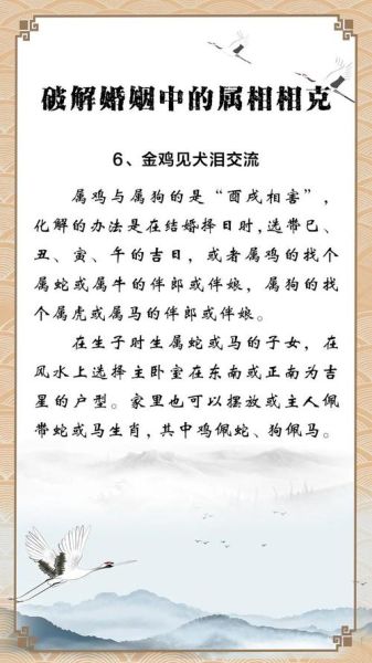 属相狗和鸡相冲吗_属狗属鸡婚姻如何化解
