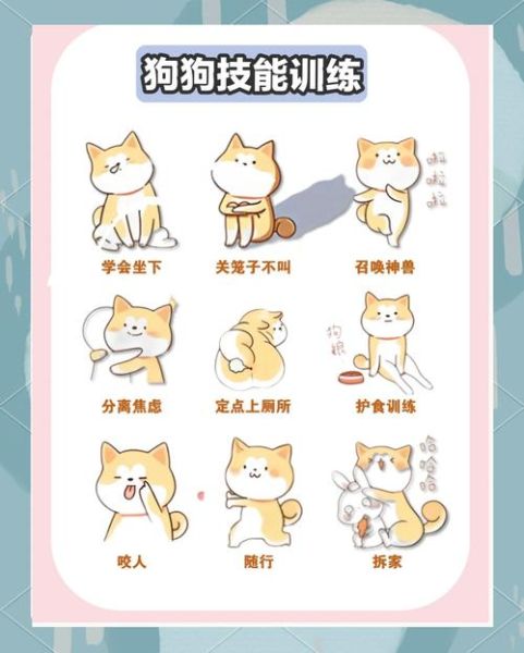 梦到训练狗是什么意思_如何正确训练狗
