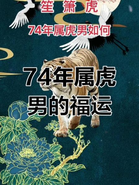 1974年属虎人财运如何_1974年出生今年财运好吗