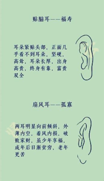 耳朵财运_耳朵福气怎么看