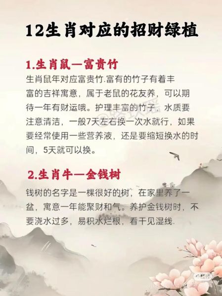 属相适合养什么植物_植物风水禁忌有哪些