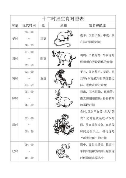 子在属相中代表什么_子时出生属什么生肖