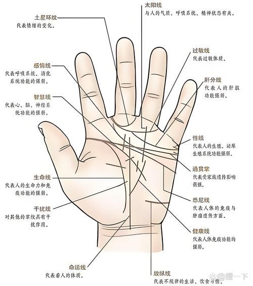 财运线偏长代表什么_如何改善财运线偏长