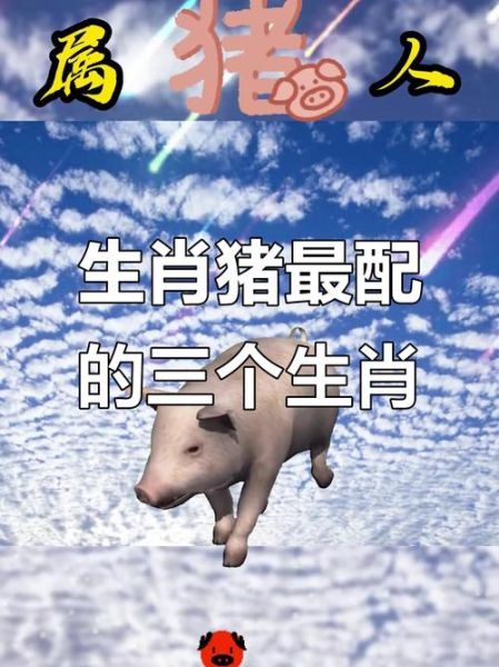 属猪的和什么属相最配_属猪的和什么属相相生