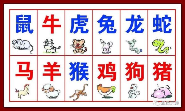 开关忌属相_哪些生肖不能碰开关