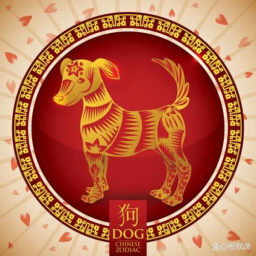 属狗明天财运如何_属狗明日偏财运势