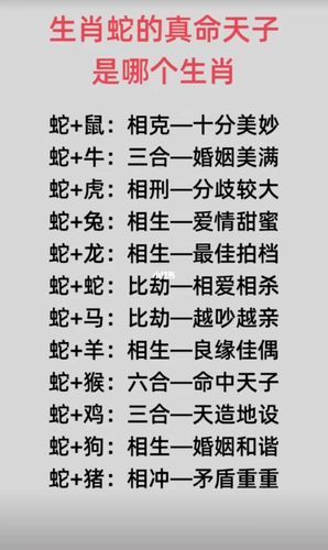 男蛇和女蛇在一起合适吗_属蛇男女婚姻配对