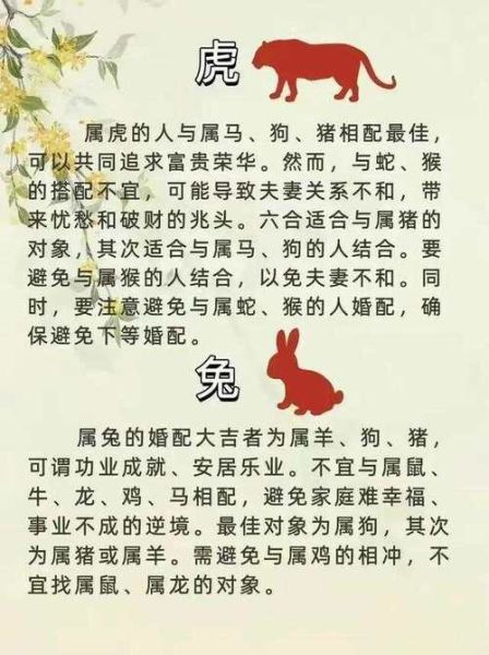 虎和羊生什么属相最好_虎羊夫妻最佳宝宝属相