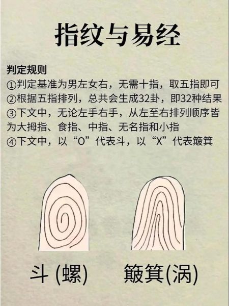 指纹看财运准吗_指纹算命财运图解