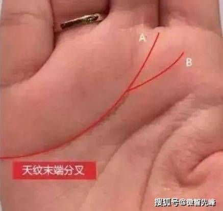 财运好的面相特征有哪些_如何通过面相提升财运