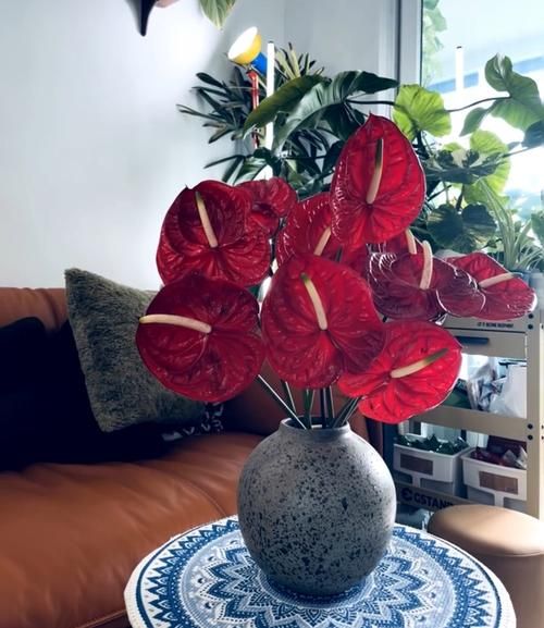 什么鲜花旺财运_家里摆什么花招财
