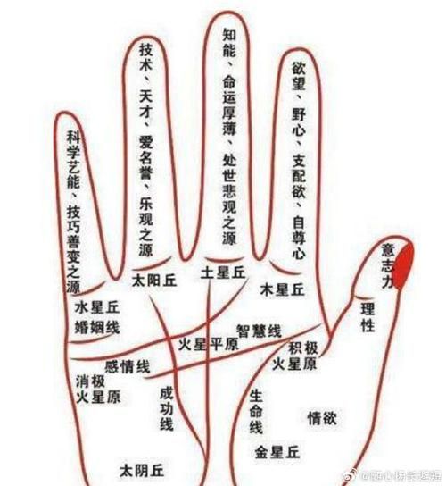 财运线直冲中指是什么意思_手相图解与破解