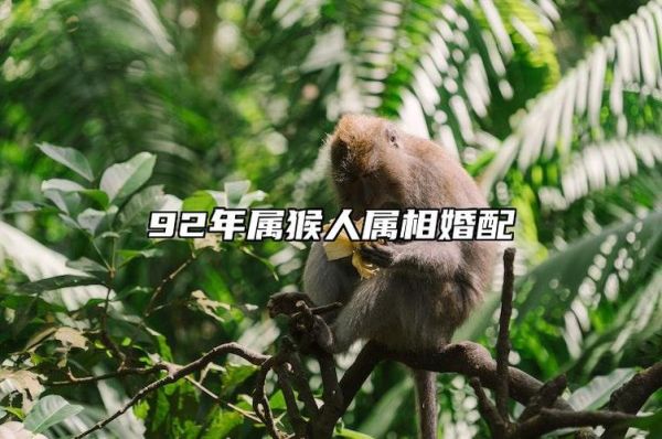 92年属猴最佳婚配属相_92年属猴和什么属相最配