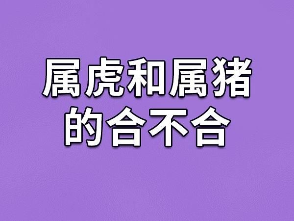 属猪和属虎的合不合_属猪和属虎的婚姻怎么样