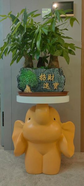 猪年运势_属猪2024年财运如何