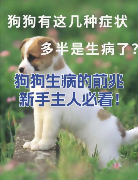 梦到狗生病了_是什么意思