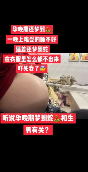 怀孕梦到毒蛇是什么意思_孕妇梦见蛇的预兆