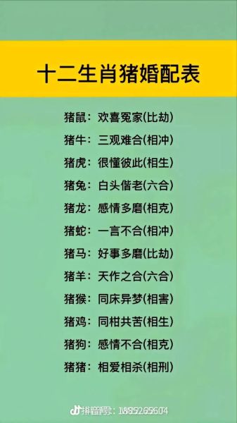属猪男配什么属相最好_属猪男和什么属相最合