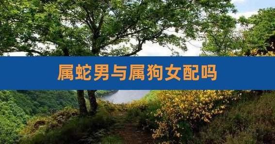 男属蛇女属狗婚姻如何_属蛇男和属狗女合不合