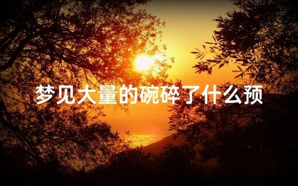 梦到碗倒了是什么意思_梦见碗摔碎代表什么