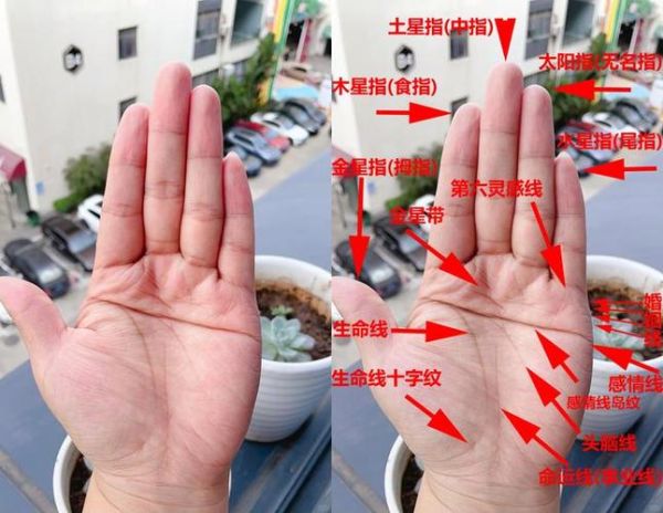 手相双财运断掌是什么_断掌财运真的好吗