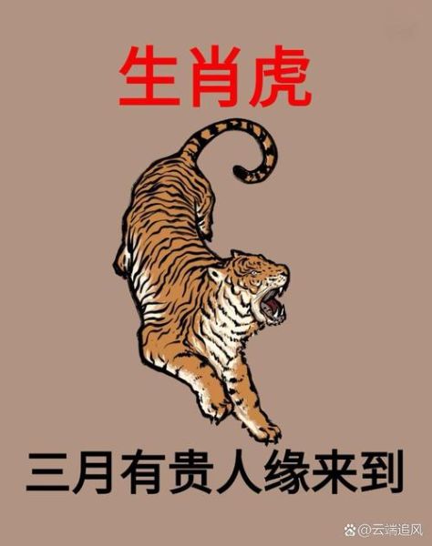 虎和羊在一起财运好吗_属虎属羊合财吗