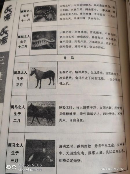 三世书测财运准吗_三世书算命可信吗