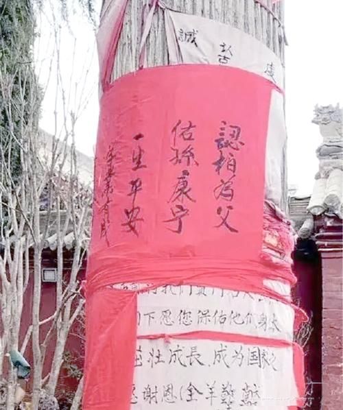 属相干亲怎么认_认干亲属相有什么讲究