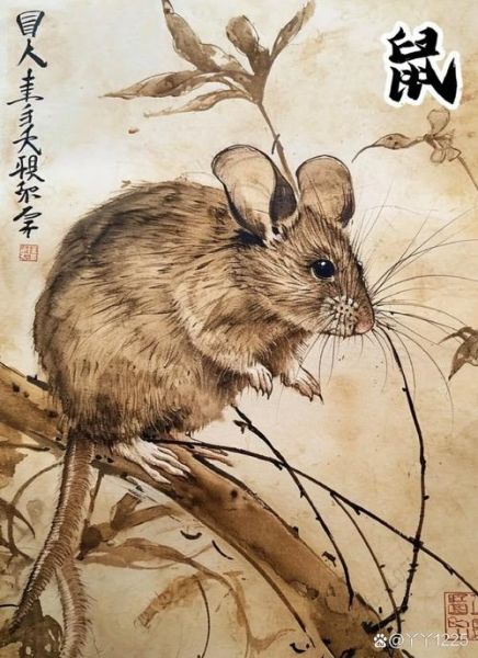 属鼠2015每月运势_属鼠2015年运势如何